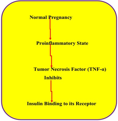 Figure 2 GDM