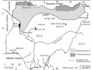 Map of Nigeria showing study area Seedlings