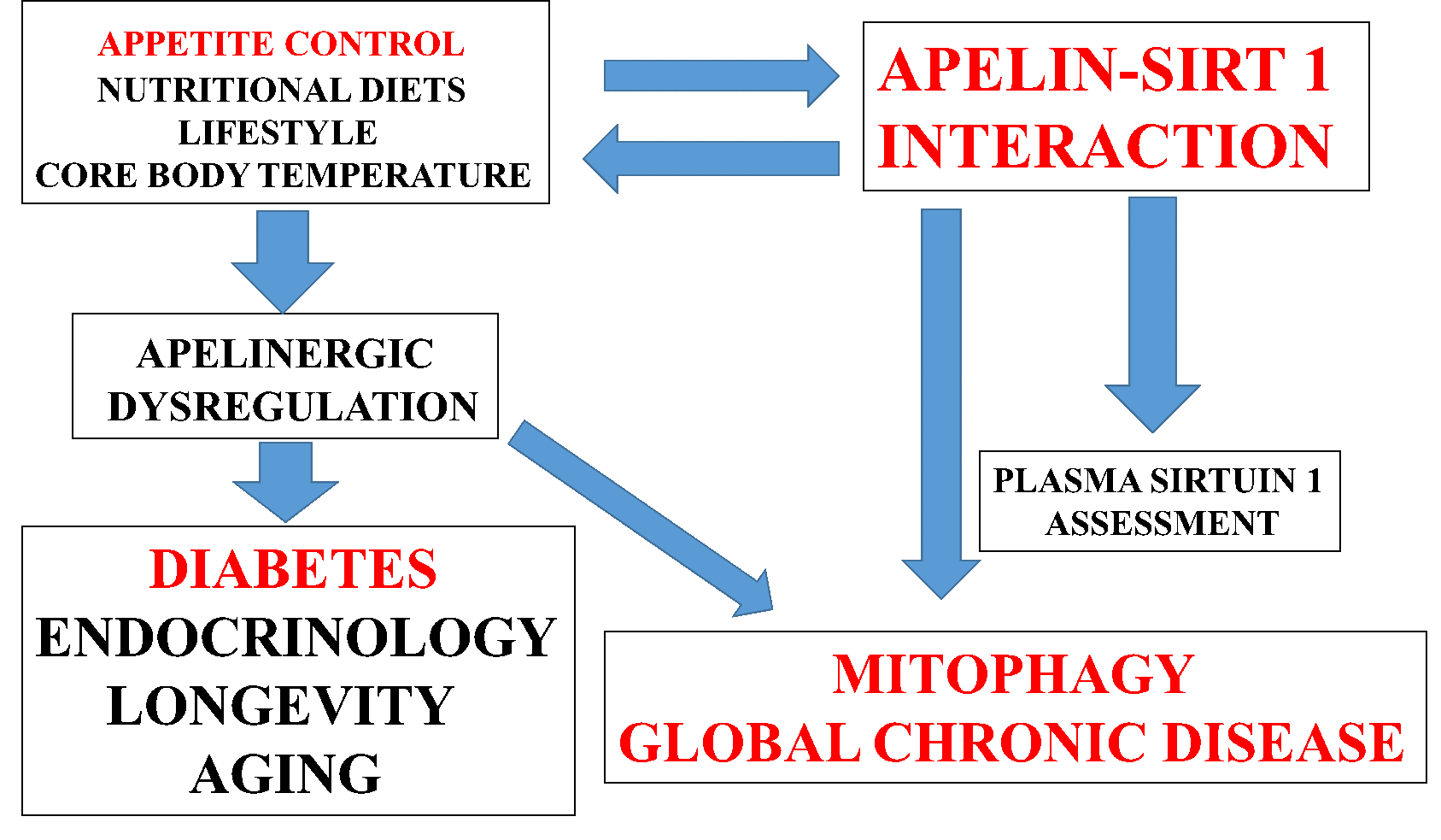 Chronic Disease Epidemic