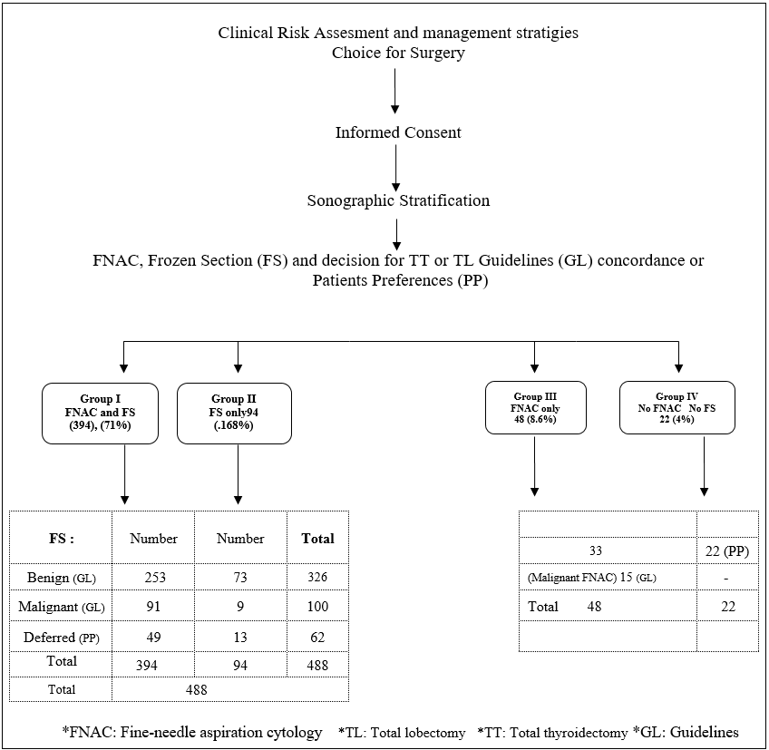 Clinical pathway of patients (558).