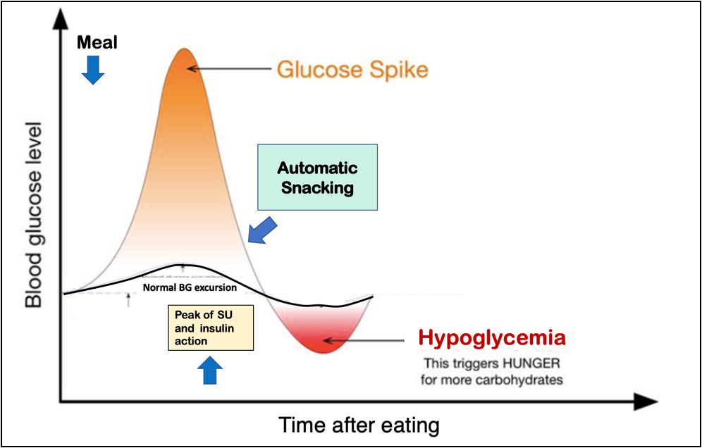 Figure 2: Schematic diagram depicting when automatic snacking is instituted to prevent hypoglycemia in type 2 diabetes mellitus patients on sulfonylurea (SU) and insulin therapy. BG: blood glucose.