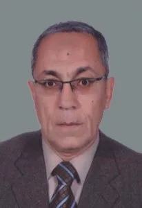 Picture of Prof. Baher A. M. Effat