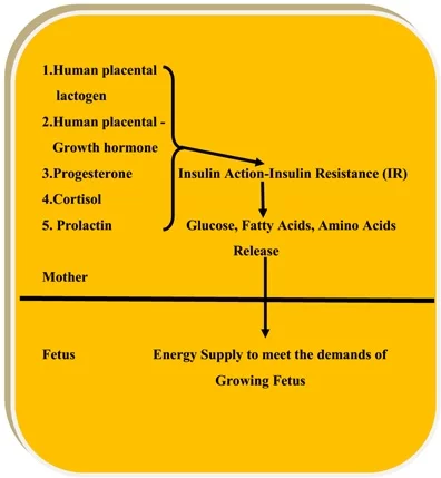 Figure 1 GDM