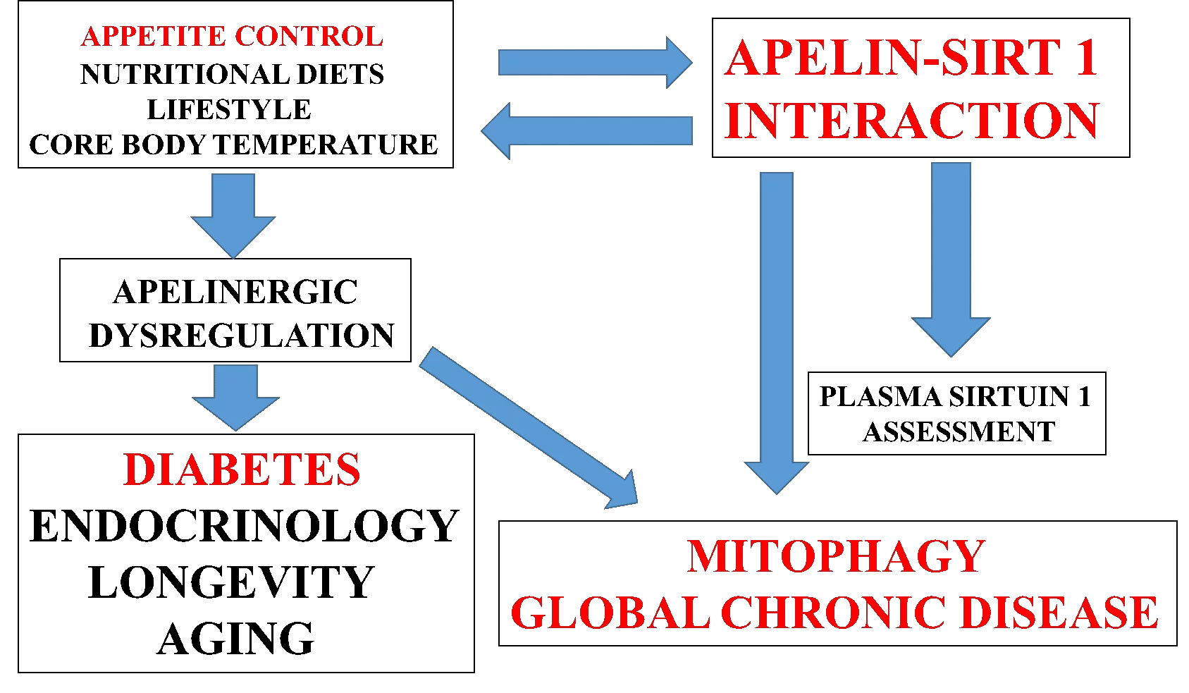 Chronic Disease Epidemic