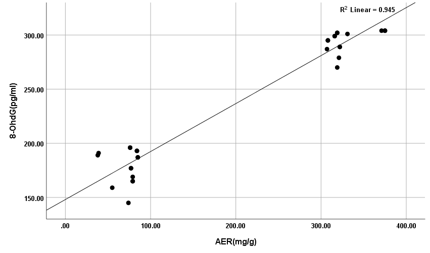 Positive correlation between AER with 8-OHdG in DN group