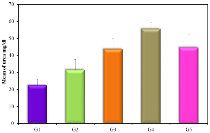 Urea mg/dl (mean ± SD) in groups