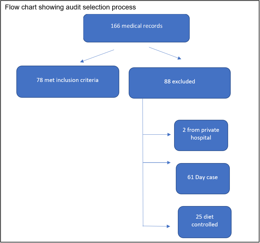 Figure 1: Flow chart showing audit selection process.