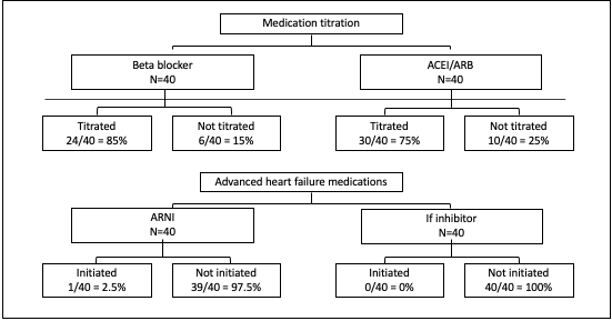 Figure 1: Medication titration to maximally tolerated dose.