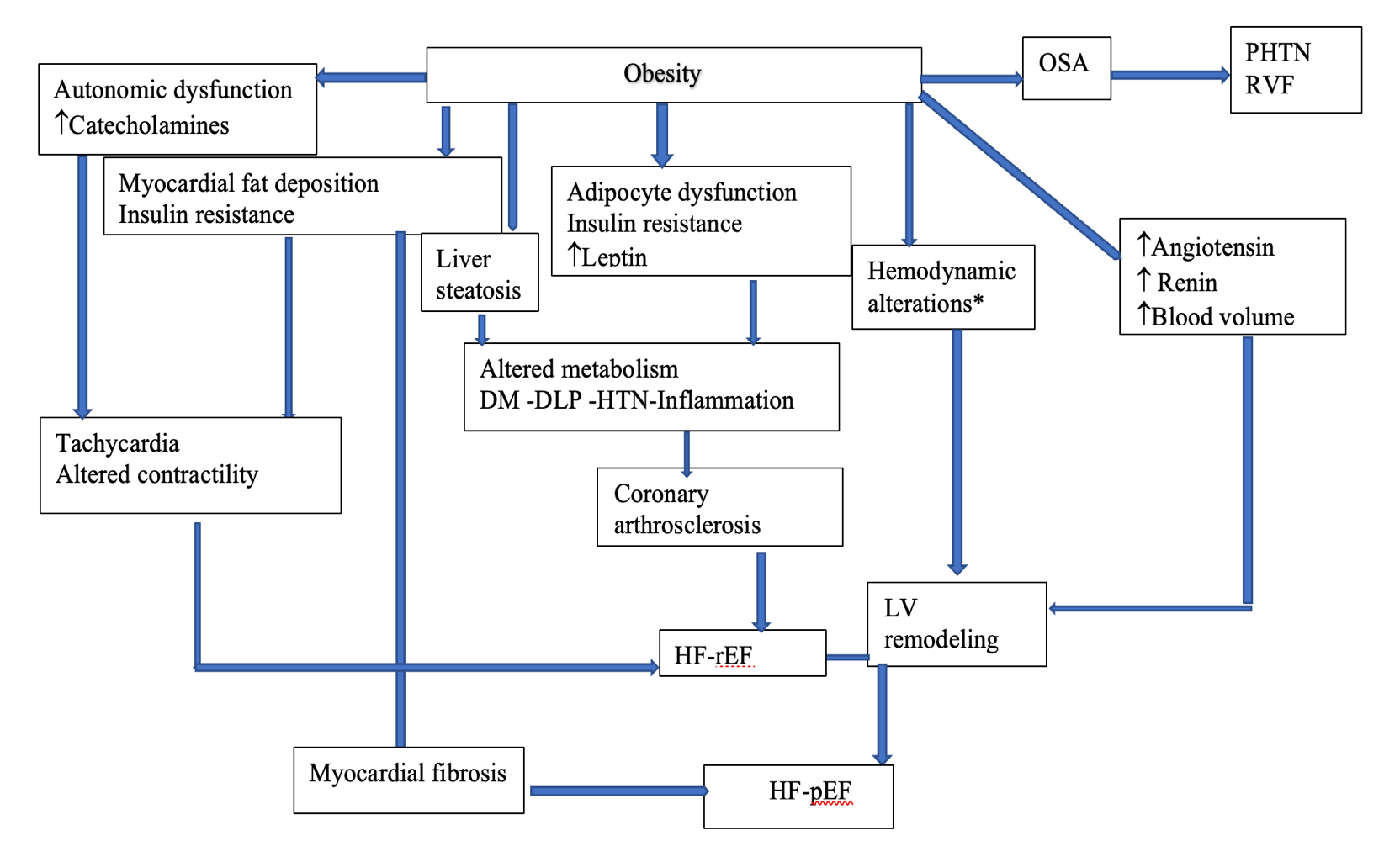 Various mechanisms in obese individuals 