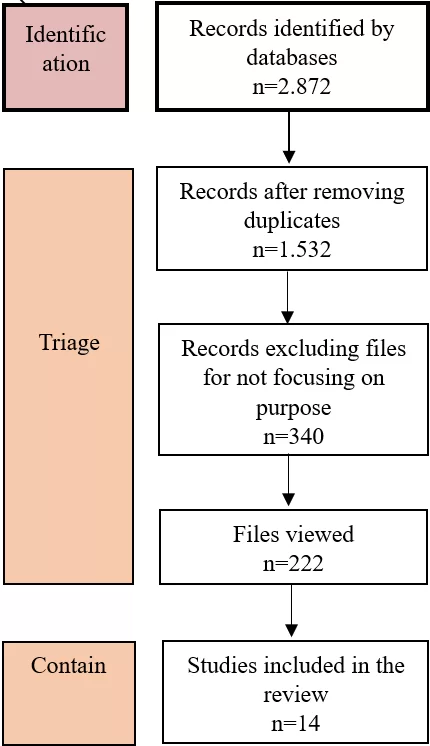 Figure 1: PRISMA flowchart of the literature review.